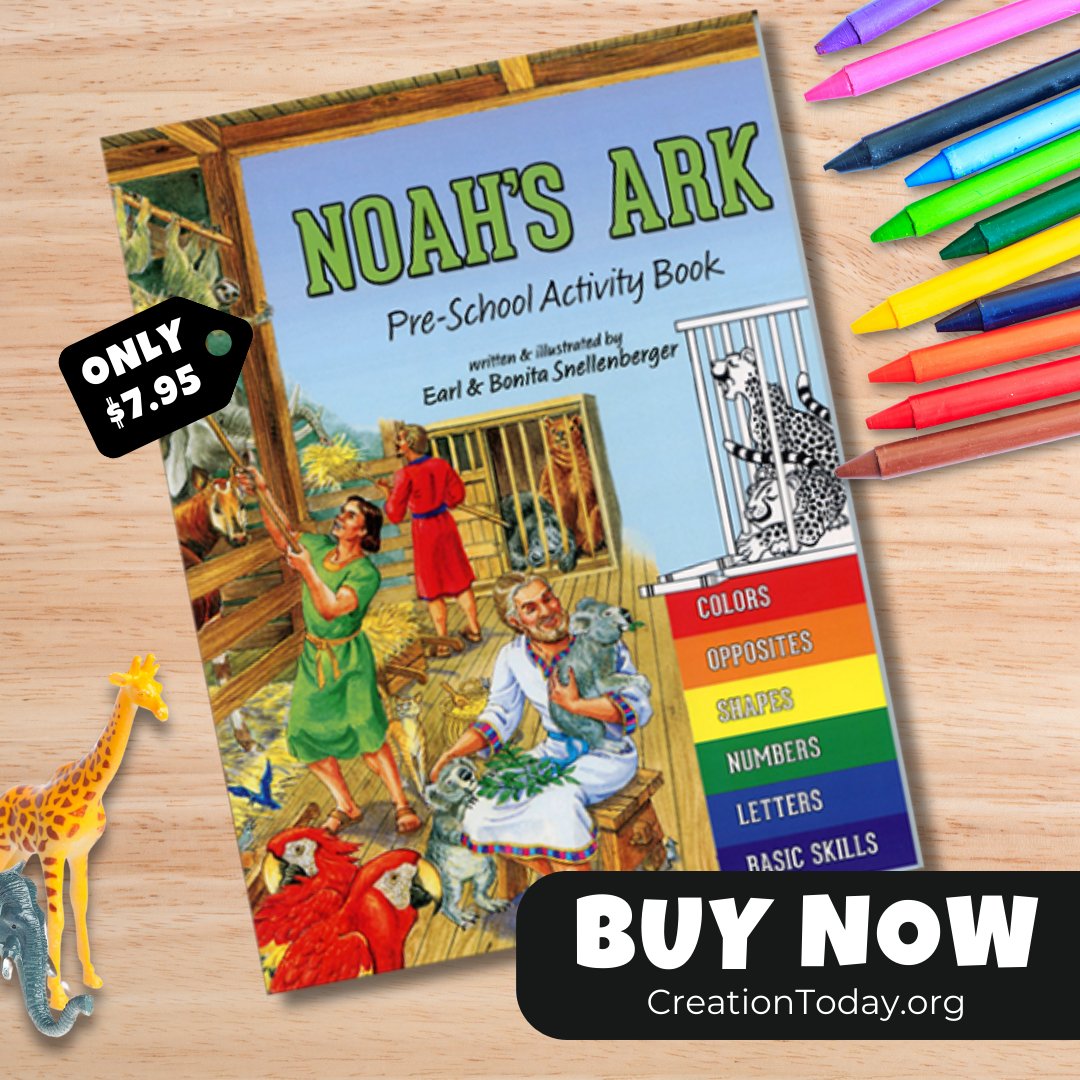 creationtoday's tweet photo. 🛶🌈 Make Noah’s Ark come alive for little ones!

The Noah’s Ark Preschool Activity Book is packed with fun, faith-filled learning. 🦒🐘

🎨 Perfect for homeschool or Sunday school!

👉 https://t.co/M69BieaBTR

#NoahsArk #FaithForKids #BibleFun #CreationToday https://t.co/TrBfJzAgYK