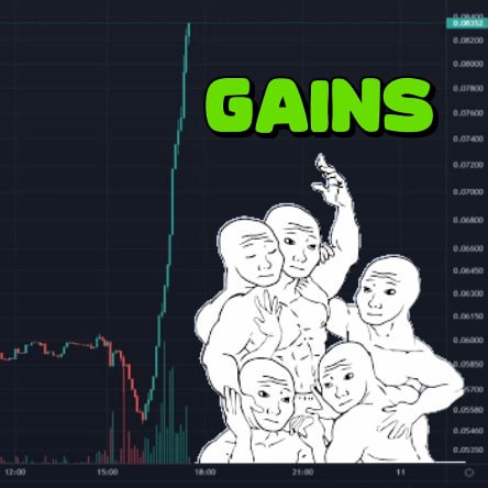 Time for those $GAINS

x.com/i/communities/…