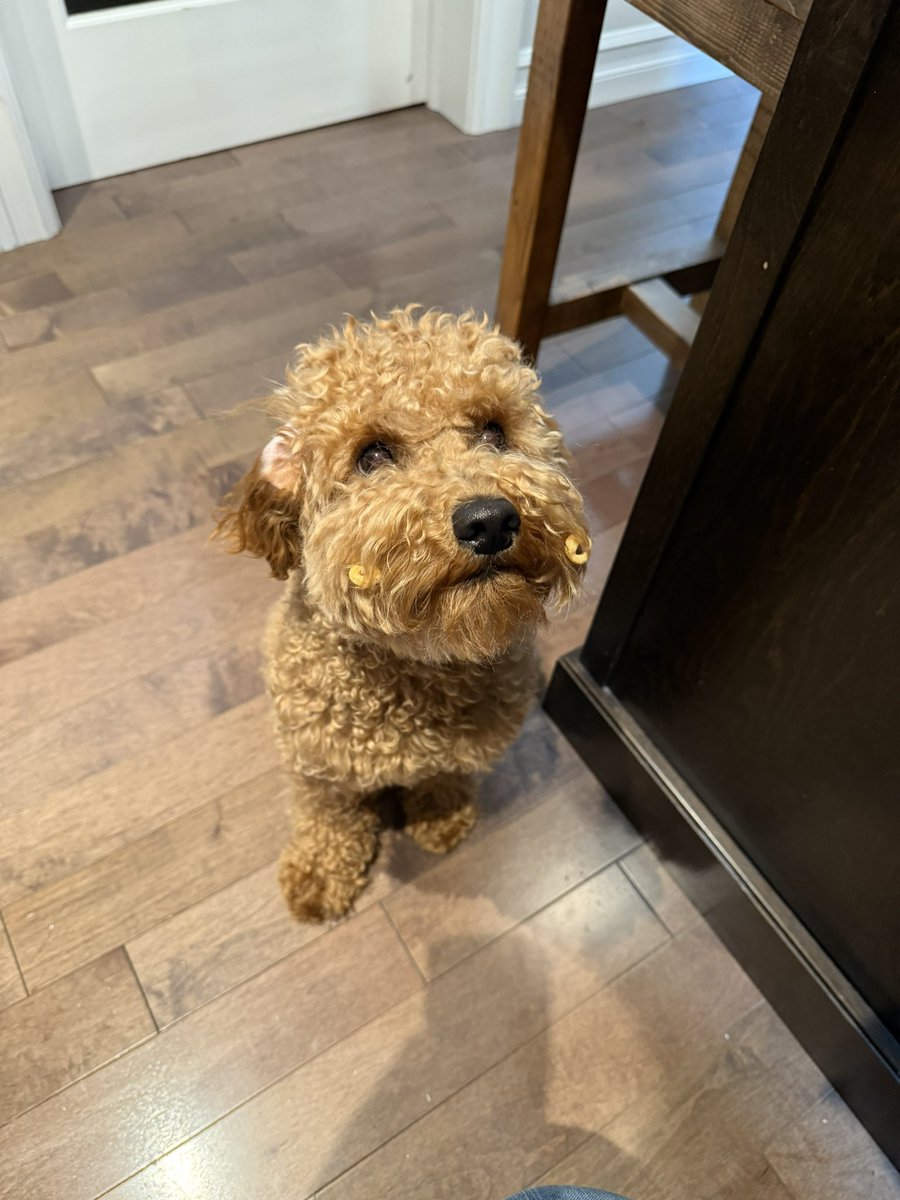 The evidence shows that someone is guilty of getting into the cheerios.