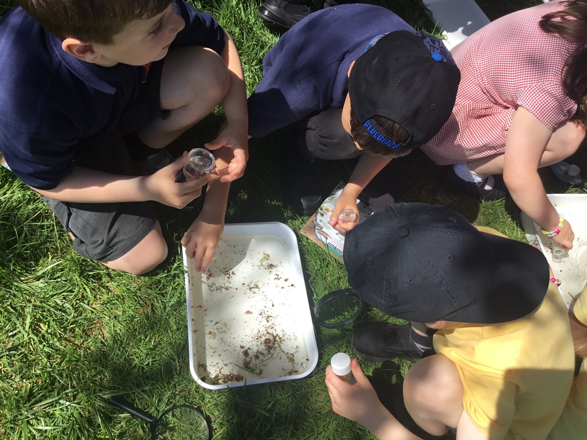 Dosbarth Miss Teague and Miss Jones Blwyddyn 2 tweet media