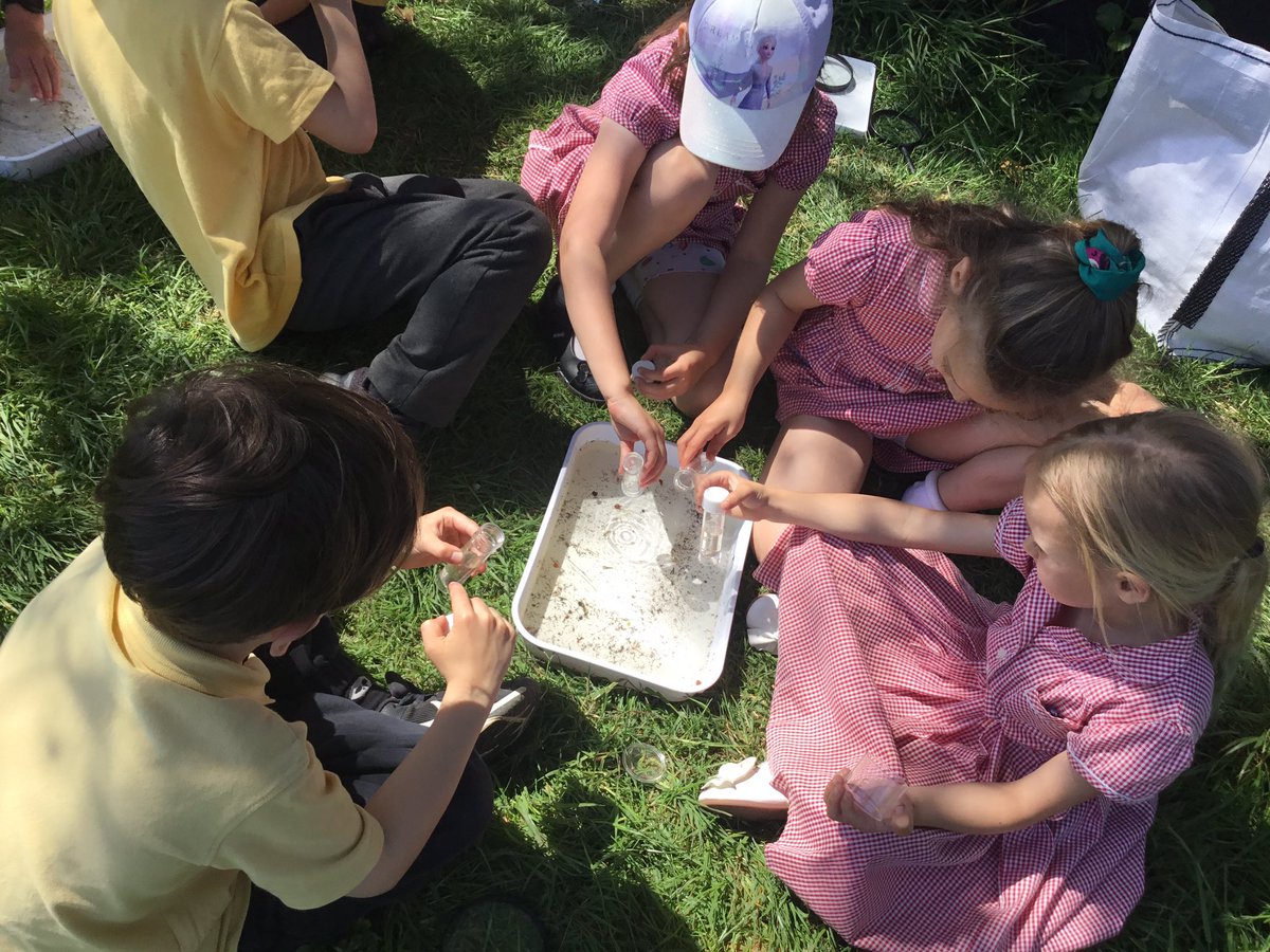 Dosbarth Miss Teague and Miss Jones Blwyddyn 2 tweet media