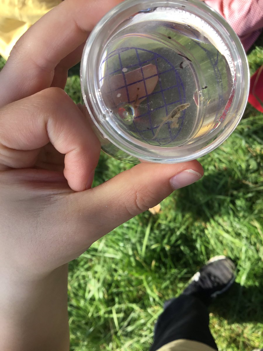 Dosbarth Miss Teague and Miss Jones Blwyddyn 2 tweet media