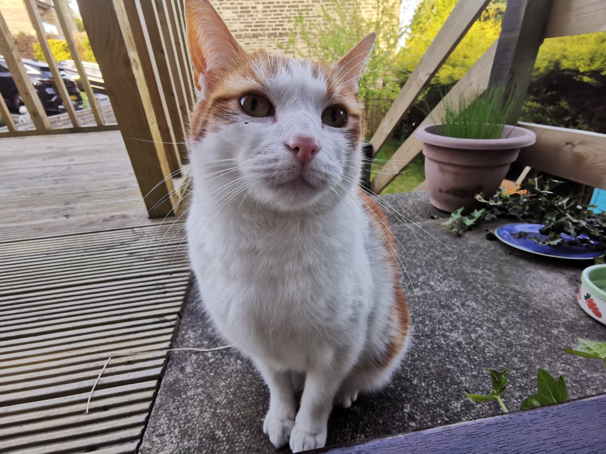 cherryopalite's tweet image. got some sick pics of the lads