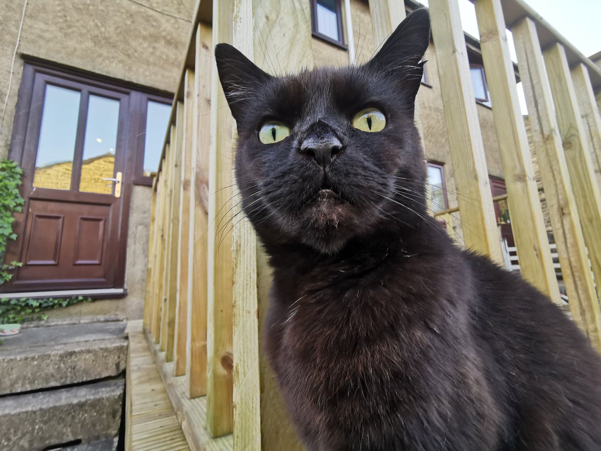 cherryopalite's tweet image. got some sick pics of the lads