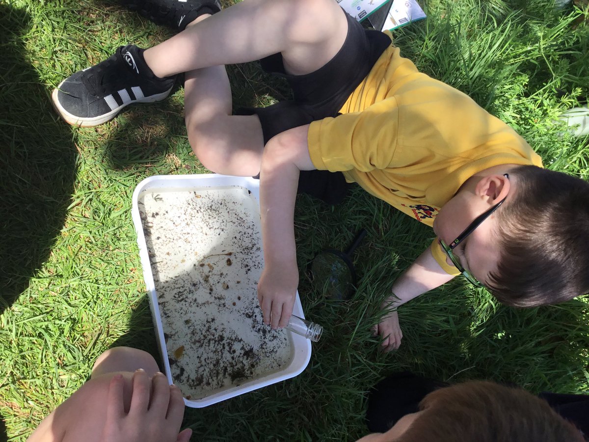 Our first time pond dipping and we found blood and hairworms, rat tailed maggots, whirligig beetles, midge larvae and a water louse. We were very excited, Gwych! 🪳🪱<a href="/jessielongstaff/">Jessie Longstaff</a> <a href="/EcoCgi/">CGI-Eco</a> #CGISCI