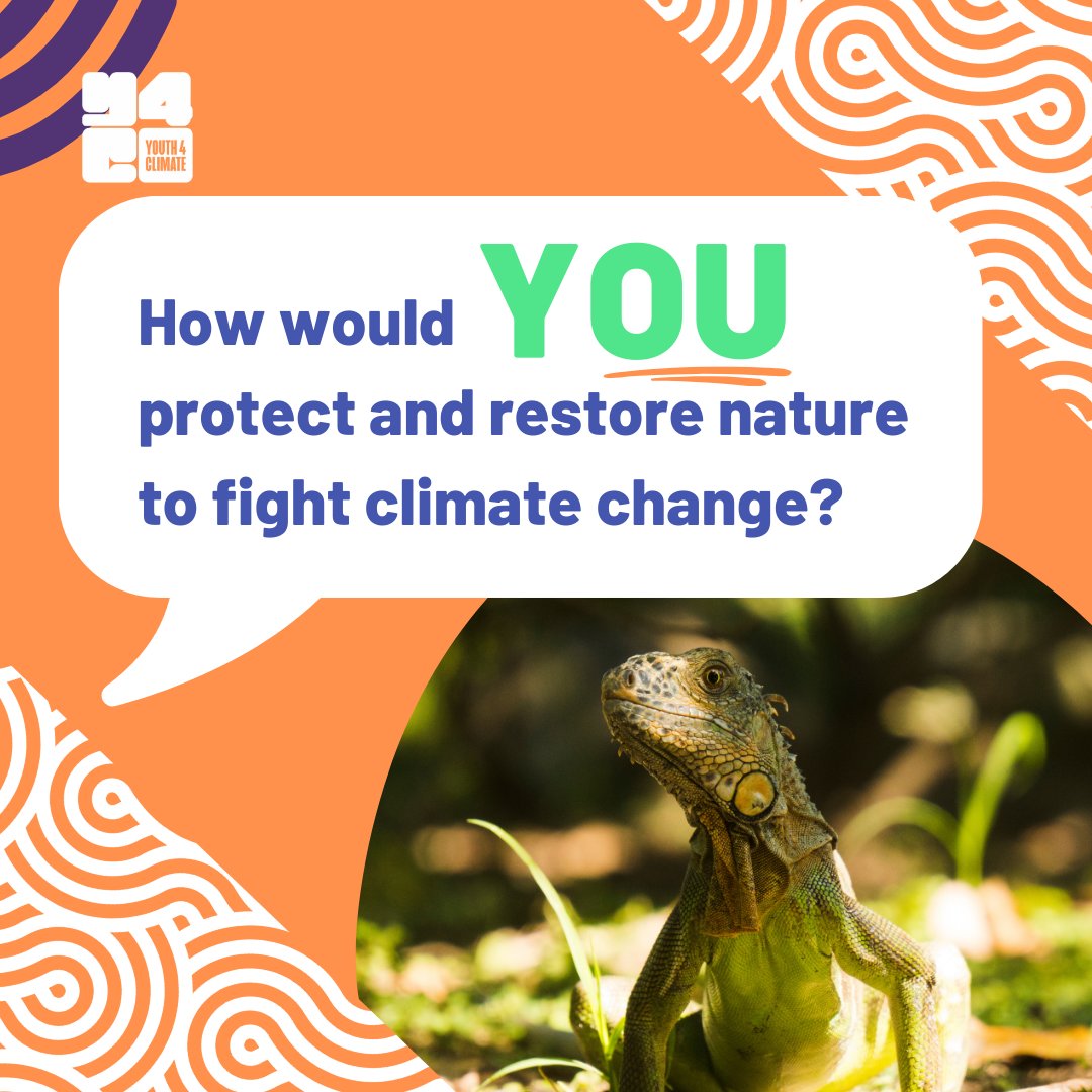 UNDP_Botswana's tweet image. Protecting nature means protecting our future. The #Youth4Climate Call for Solutions supports projects restoring ecosystems & biodiversity. Got an idea? Apply by 26 May - shorturl.at/j6NVh