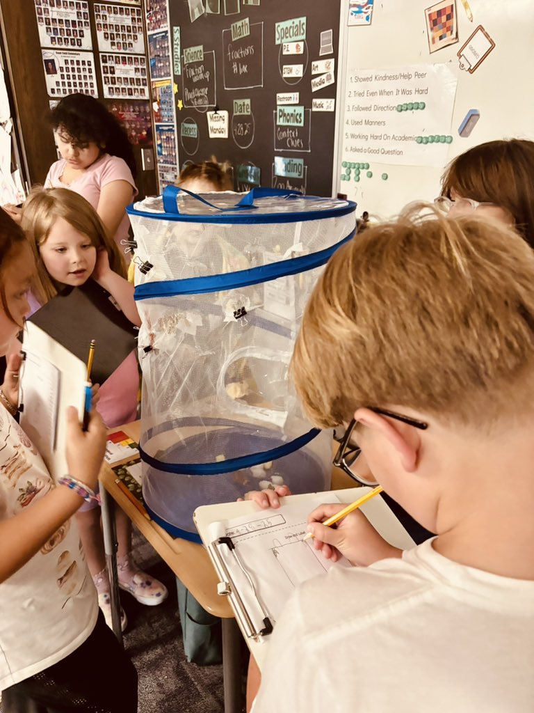 Ms. Schulz tweet media