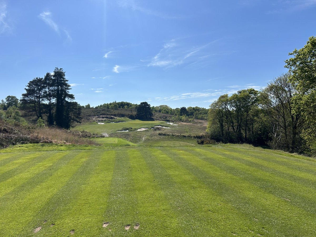 Grant Peters tweet media