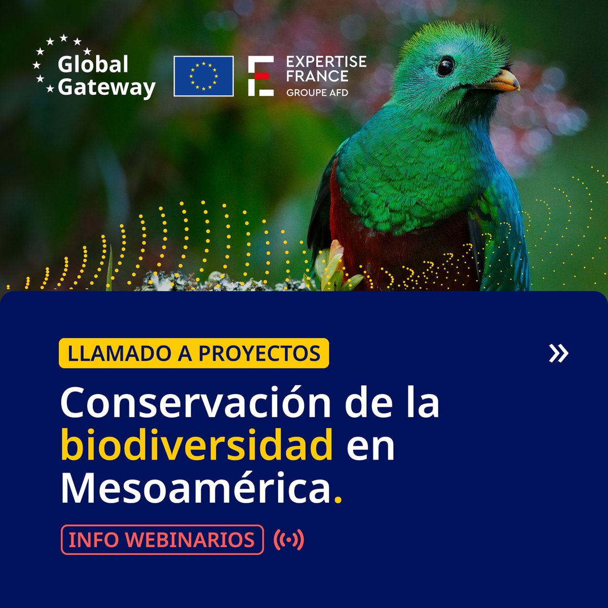 UECentroamerica's tweet image. 💻#Webinario 🚩#Convocatoria
Seguimos nuestra agenda de webinarios informativos sobre la convocatoria a propuestas de #proyectos locales de conservación de la #biodiversidad que hemos lanzado junto a 🇪🇺🇫🇷@expertisefrance en el marco del #EquipoEuropa del Programa Grandes…