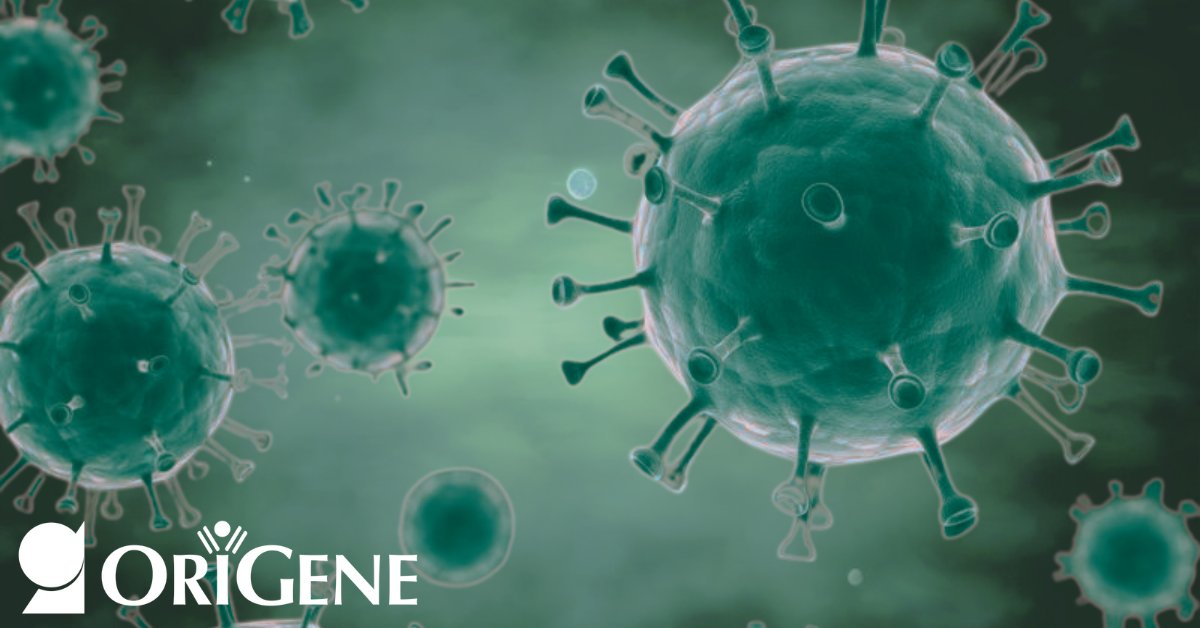 Experience the convenience &amp; enhanced safety of OriGene's 3rd-gen lentivirus for your cancer studies! Visit us at AACR Booth #906 to learn more. 

#GeneDelivery #Biotech #AACR25