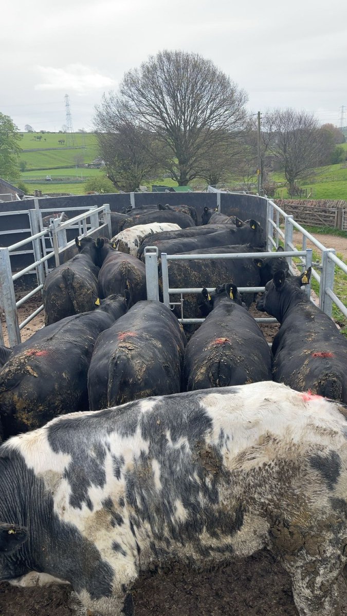 Matthew Blair tweet media