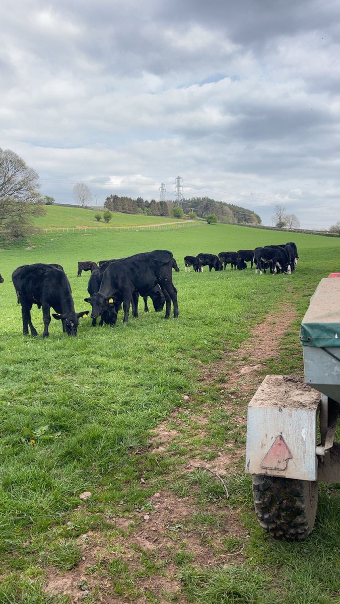 Matthew Blair tweet media