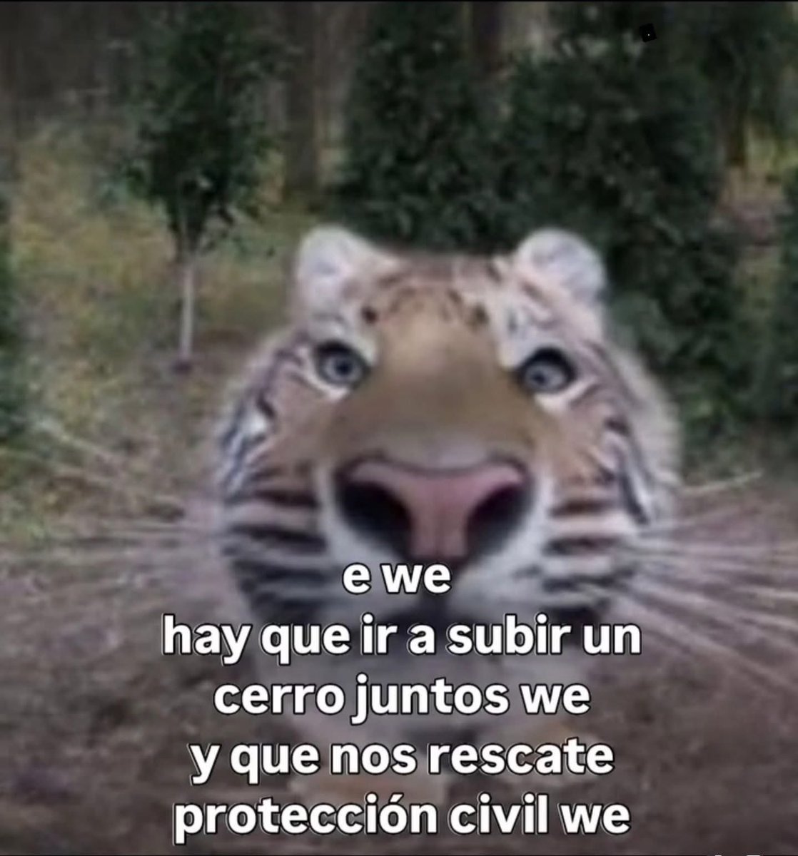 memefeos's tweet photo. Ándale we https://t.co/GZsscRy0AF