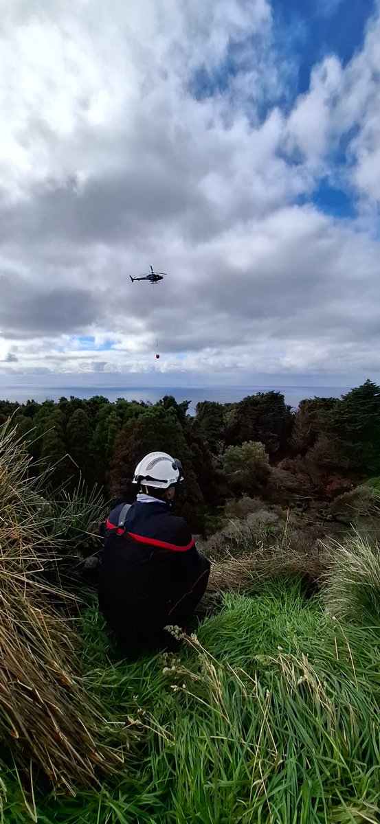 taaf.fr/actualite/ile-…
Le survol de la partie est de l’île a en confirmé qu’environ 90 % des boisements de Phylica arborea, seul arbre indigène de la réserve naturelle nationale des Terres australes françaises, ont été touchés par l’incendie.