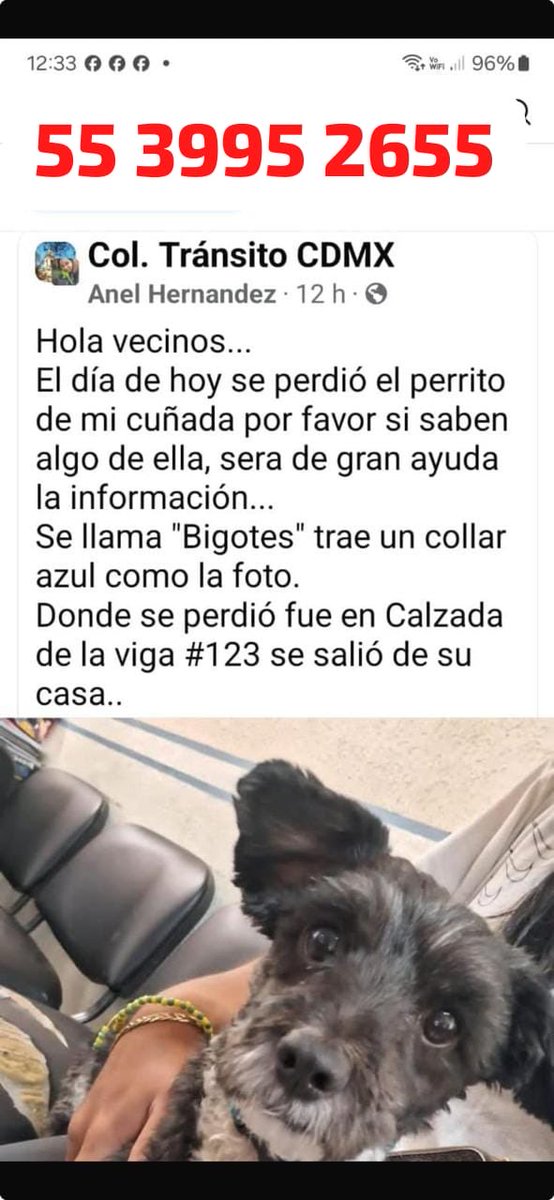 Sandra Segovia. Todos Somos Animales sí también tú (@segoviasan) on Twitter photo #CDMX ayúdanos a encontrar a Bigotes
<a href="/MascotasSismo/">Mascotas Sismo</a> @CaninaAmber <a href="/UbicapetMexico/">UBICAPET MÉXICO</a> <a href="/PerrosPerdidosA/">Mascotas perdidas</a> <a href="/PerrosPerdidosA/">Mascotas perdidas</a> <a href="/PrrosPerdidosMX/">PerrosPerdidosMx</a> <a href="/PerdiMiMascota/">PerdiMiMascota</a> <a href="/PerdiDogsMx/">PerdiDogsMx</a> <a href="/lawera33/">Perros Encontrados sin su dueño</a> <a href="/mascotasdifunde/">Difusión de mascotas</a> #CDMX ayúdanos a encontrar a Bigotes
<a href="/MascotasSismo/">Mascotas Sismo</a> @CaninaAmber <a href="/UbicapetMexico/">UBICAPET MÉXICO</a> <a href="/PerrosPerdidosA/">Mascotas perdidas</a> <a href="/PerrosPerdidosA/">Mascotas perdidas</a> <a href="/PrrosPerdidosMX/">PerrosPerdidosMx</a> <a href="/PerdiMiMascota/">PerdiMiMascota</a> <a href="/PerdiDogsMx/">PerdiDogsMx</a> <a href="/lawera33/">Perros Encontrados sin su dueño</a> <a href="/mascotasdifunde/">Difusión de mascotas</a>