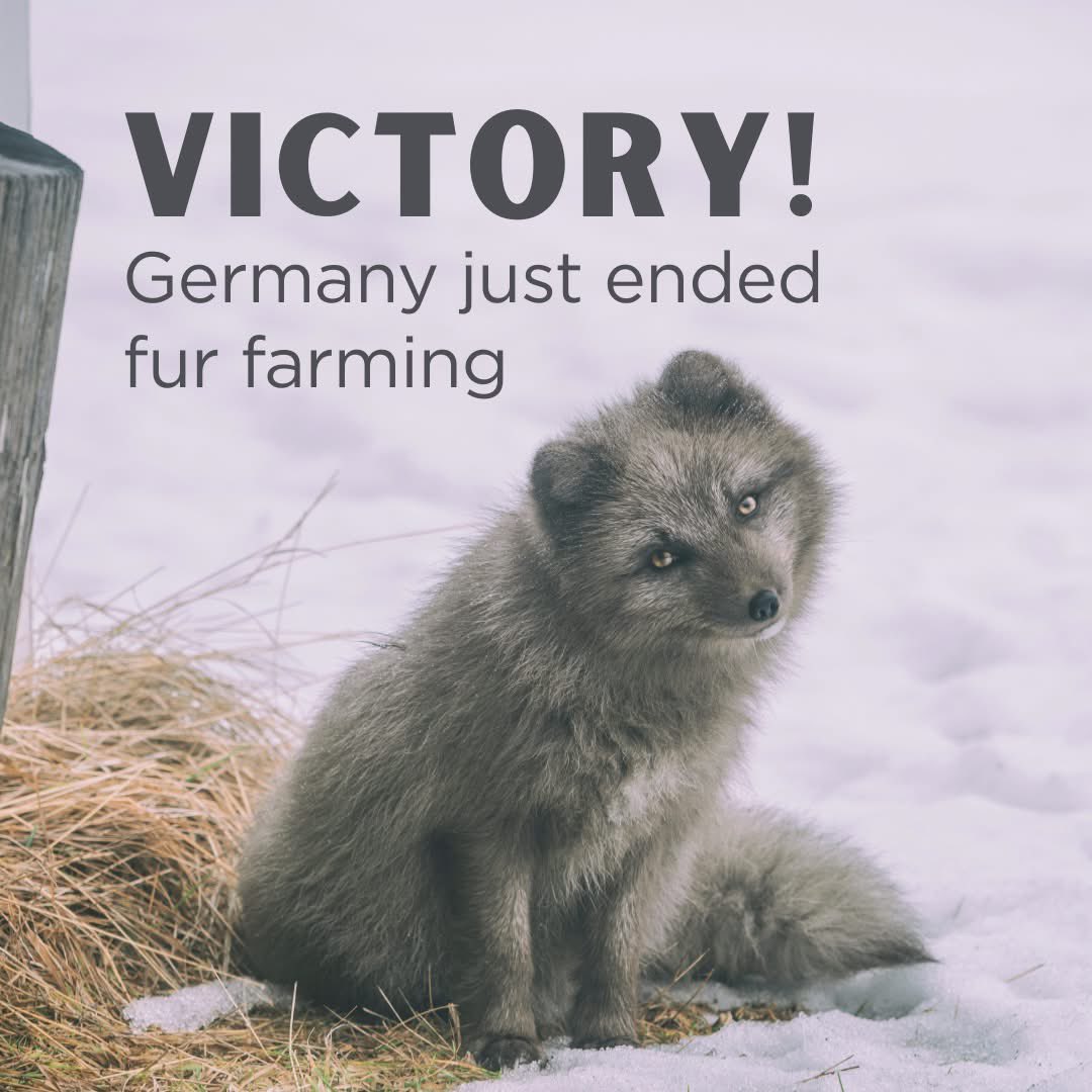 Good news
