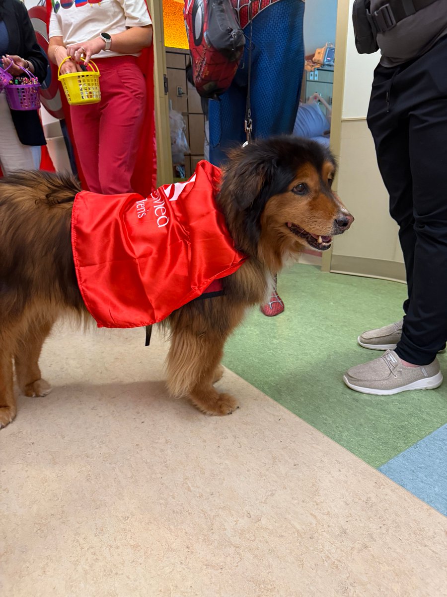 WakeMed's tweet image. It's a bird... it's a plane... it's superhero window washers at WakeMed Children's! 🦸‍♀️🦸

WakeMed window washers, from Scottie’s Building Services, were superheroes for a day, fighting “grime” and cheering up young patients as they rappelled down the Children’s Hospital.