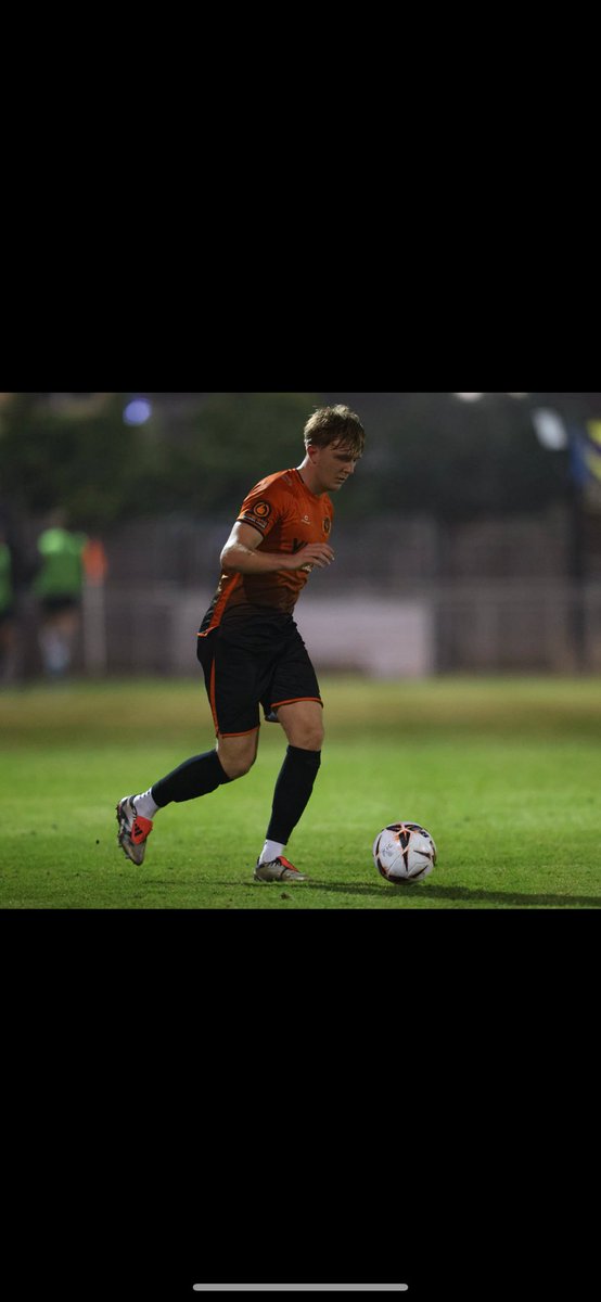 william van lier tweet media