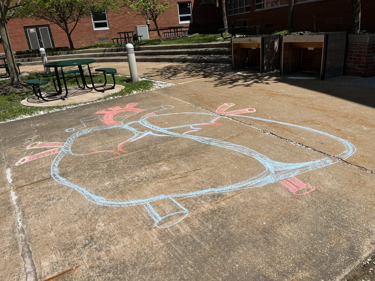 Heart 🫀parts and blood flow for A&amp;P old school style