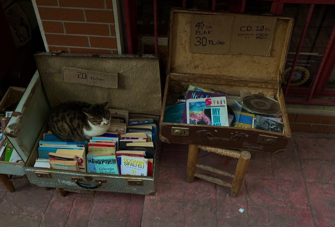 Uykuda saklı binlerce hayat.
#Ohal #İspanya #portekiz #elektrik