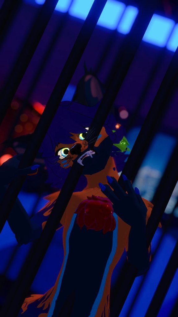 Manden más mensajes o confesiones por ngl.link/wizwt , completamente anónimo, antes de subir vídeo pq me aburro jaja denle sin miedo de decir lo que sea uwu