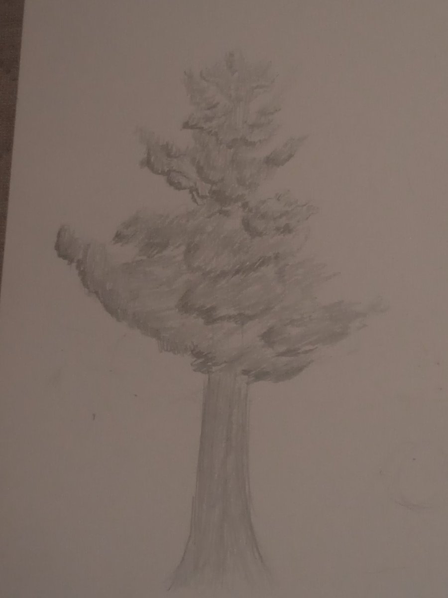 Uno de mis árboles favoritos el Ginkgo biloba