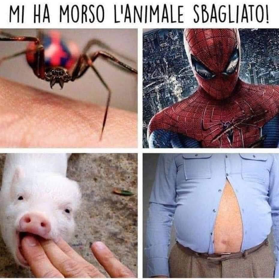 😹😹😹😹😹