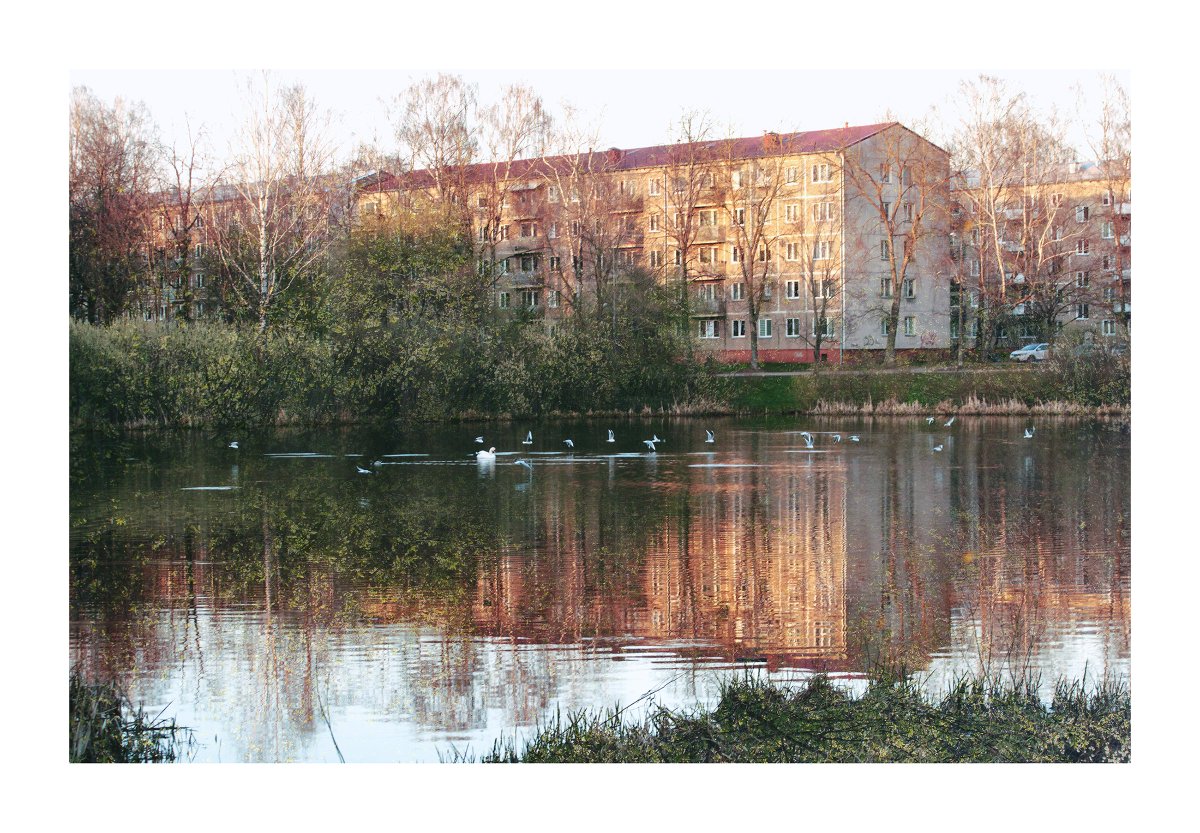 Xkonts's tweet image. IV.2025. Viena gulbja ezers/One swan lake. #Rīga #pavasaris #pilsēta #apkaime