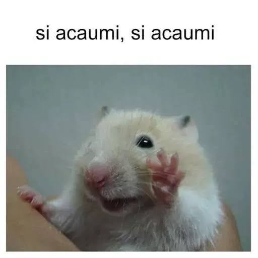 diladilans's tweet photo. @guilhermeribmac NO, PLEASE. I LOVE U, I MISS U https://t.co/9RRruKdgBw