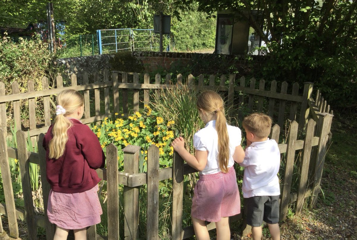 Great Gaddesden CE (VA) Primary School tweet media