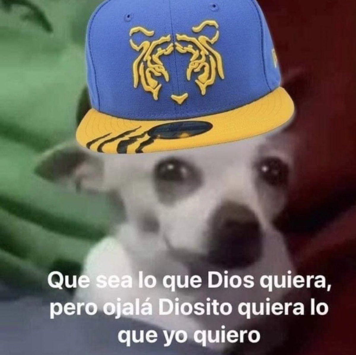 kassandracgzz's tweet photo. https://t.co/zwVl1IVLfP