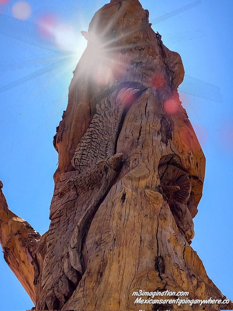 Imaginatio74669's tweet image. A very cool tree with all kinds of manmade carvings near a park in Coachella and a Veterans memorial center.  Coachella California.
.
.
.
#mextures #wanderlust #nature #coachella #california #photography #photooftheday  #photographyeveryday #sky #beautiful #travel #fktrump