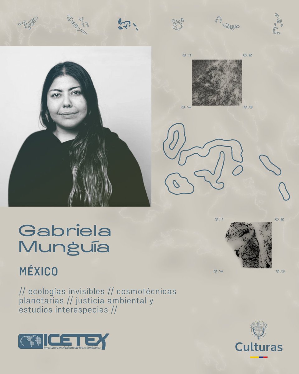 Gabriela Munguía, artista e investigadora transmedial, presenta en el Festival Internacional de la Imagen una charla sobre cosmotecnias planetarias y un performance sonoro que explora ecologías invisibles a través de dispositivos mecano-sonoros y machine learning.