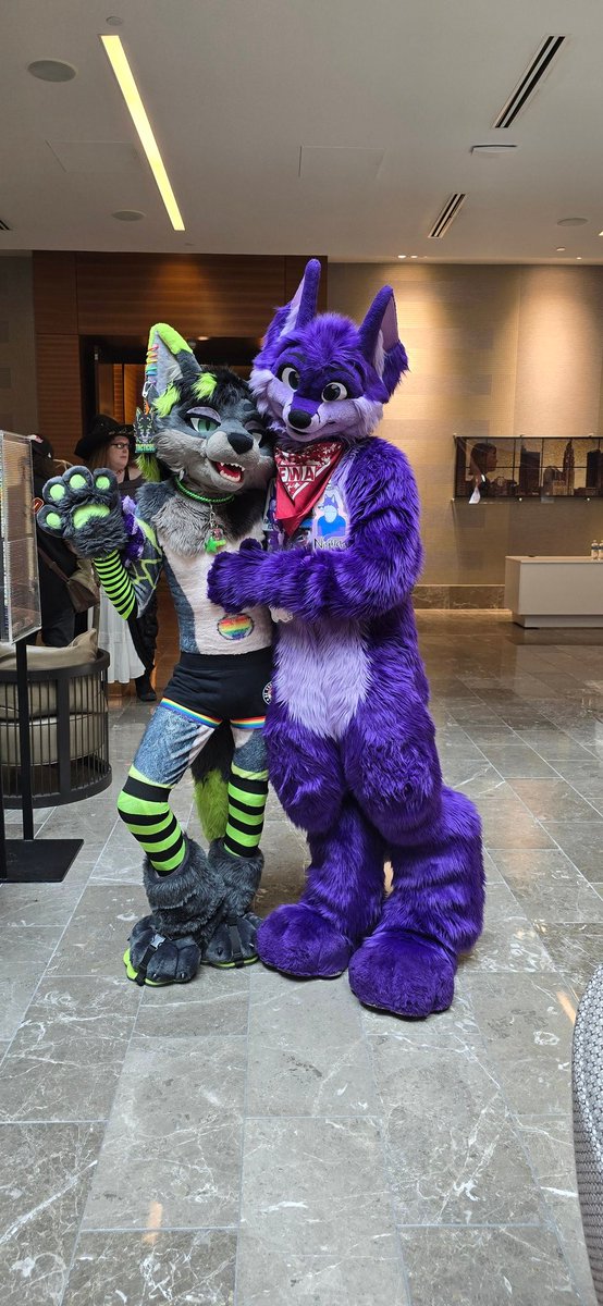 Late posting some wholesome pics with friends and pack at MCFC, AO, and local events since.
So many amazing memories and moments, but work has been absolute chaos since back.
<3 to all in my life~
🧸: @Dash_HotDawg <a href="/BayouFursuit/">Bayou 🔜 MCFC, LVFC</a> @SearcherCoyote <a href="/OnlyYips/">Huff ñ Stuff 👃🥵</a> <a href="/starry_husky/">StarryAD</a> <a href="/_Niqnaq/">Niqnaq</a>