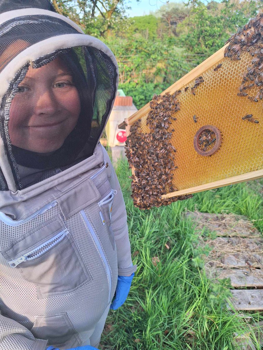 OurLadyandStEdw's tweet photo. Buzzing with excitement!
Holden had an amazing time beekeeping this evening, just like his dad! We’re so proud of you, Holden — a future beekeeper in the making!
🐝✨🍯 #BuzzingWithPride #FutureBeekeeper #WellDoneHolden #LearningForLife https://t.co/cNZn68hRGv