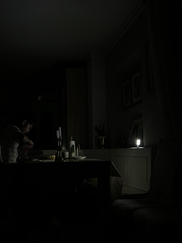 Leyla Hamed tweet media