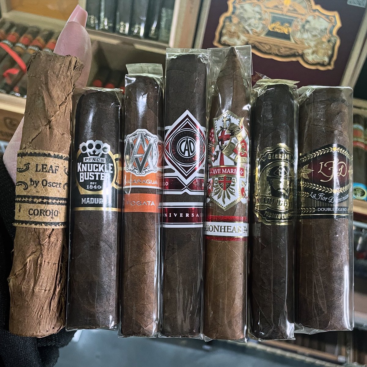 SophiaM41298966's tweet photo. Quick pick for the day #leafbyocar #punchknucklebuster #avocigars #caocigars #ajfernandezlionheart #warfighter #lfdcigars #cigaroftheday #elcidscigarshop #elcidscigars #elcidstobacco #elcidscigarlounge #elcids #cigars #cigarboss #cigarlounge #cigarshop #cigartime #sophiassmokes https://t.co/b98HO9L9hc