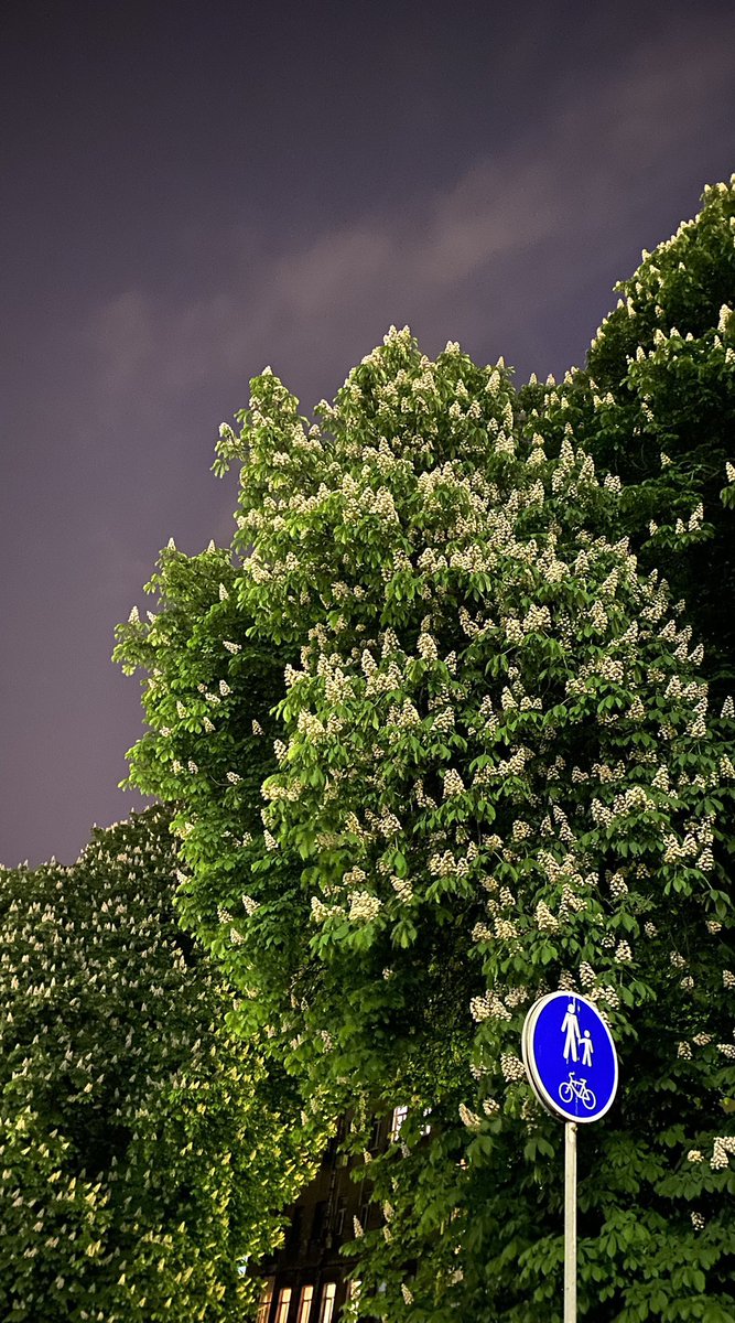 ✨ (@living_in_ua) on Twitter photo 