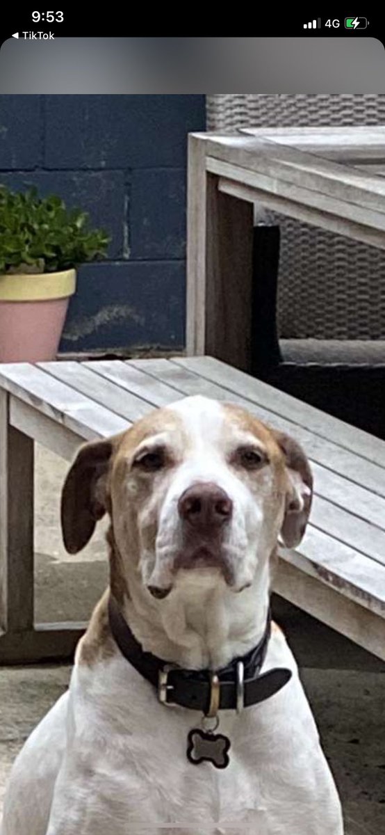 it’s his 10th birthday guys