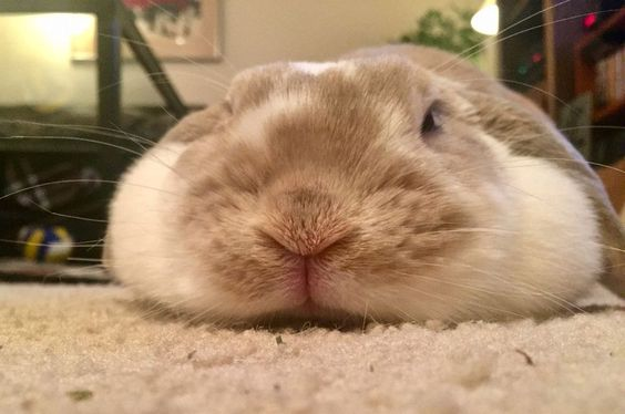 "you flatter me" : derivative, boring, basic
"you flatten me" :