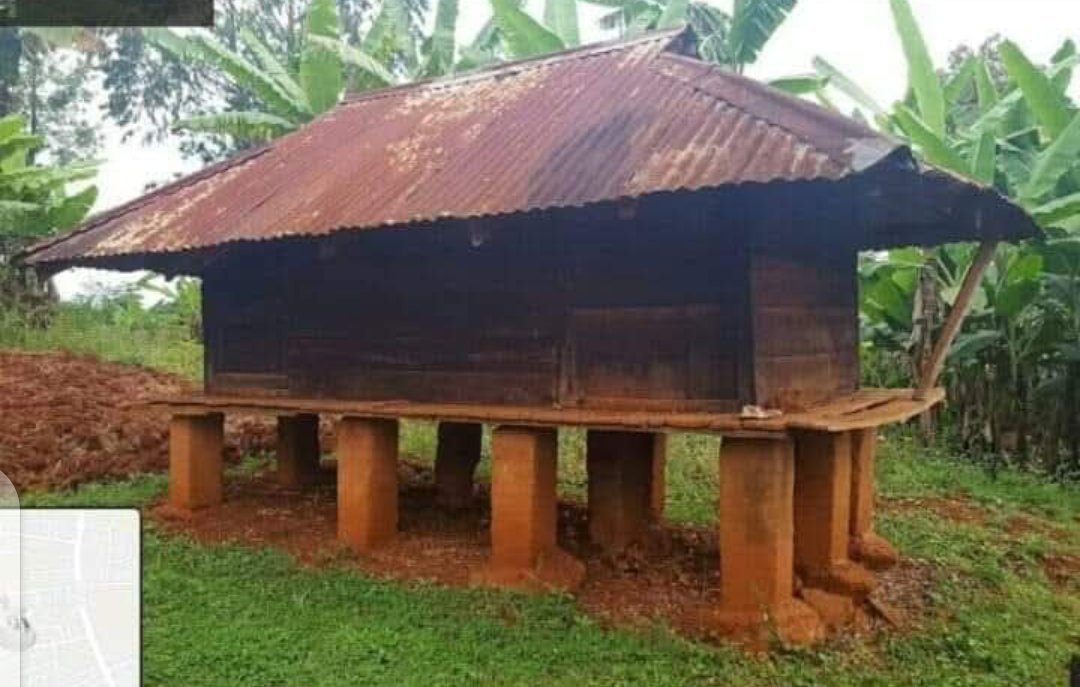 If you know what this is, or what it's used for, or you may have seen one Live, then you should NOT be on Twitter X ! 
You should have retired from social media... 🙄

Yes I said it 😳 BBC Africa Eye KDF