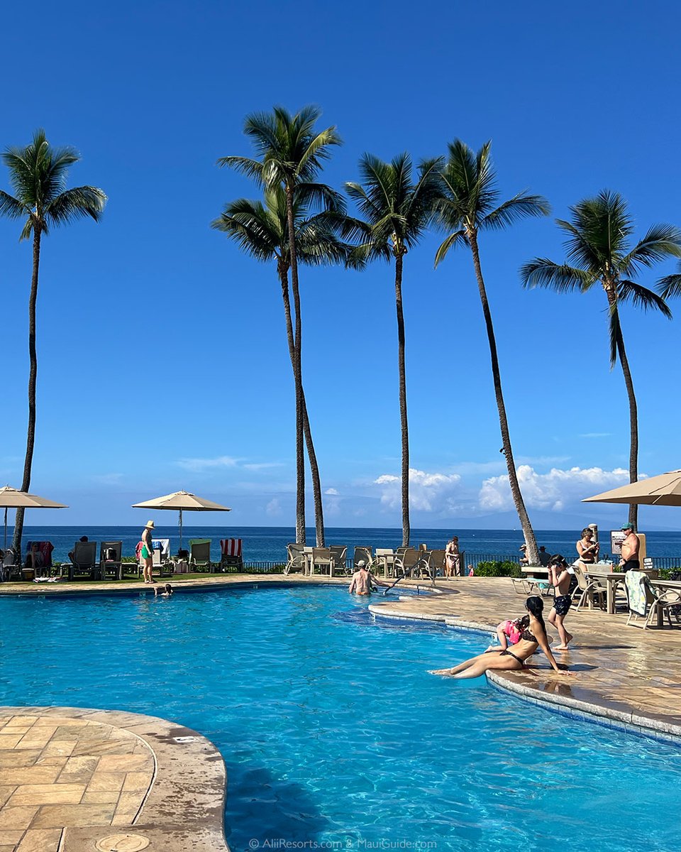 AliiResorts's tweet image. Wailea Ekahi 30B boasts a spacious layout with 2 bedrooms, 2.5 bathrooms, and a full-size Murphy bed in the living room.

Enjoy quick access to pickleball courts, barbecue facilities, and the pool. Call toll free at 1-855-627-9527.

#BookDirect #OceanView #WaileaEkahi #Maui