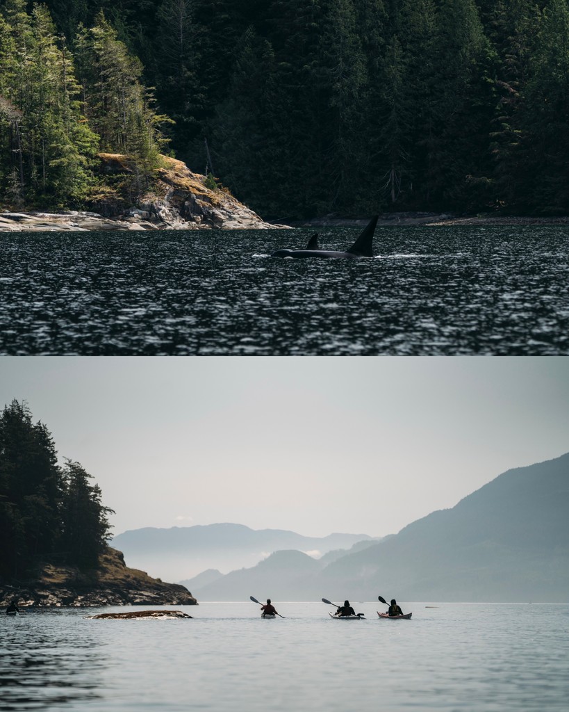 KayakingTours's tweet photo. Reconnect to yourself, community, + the natural world. 🤎🌿✨️

Wellness Elements 👇🏼
〰️ Connection to Self
〰️ Connection to Community
〰️ Connection to the Natural World

https://t.co/9OW9SpHa3m https://t.co/ilHpDQLGvj