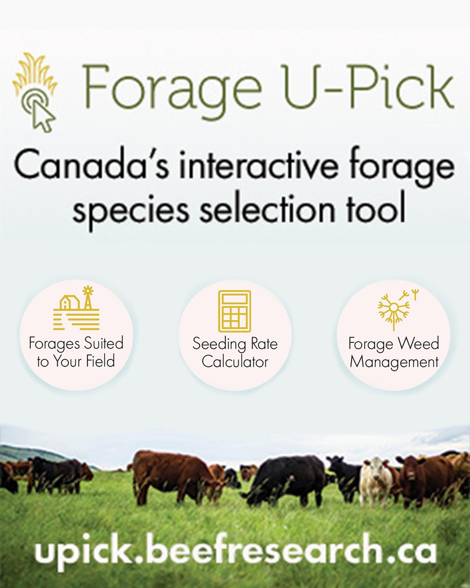 Wondering what forages to choose that suit your farm's particular goals and soils?

Head to Forage U-Pick, Canada’s interactive forage species selection tool to find farm-specific forage recommendations, a seeding rate calculator &amp; weed management info.

Upick.BeefResearch.ca