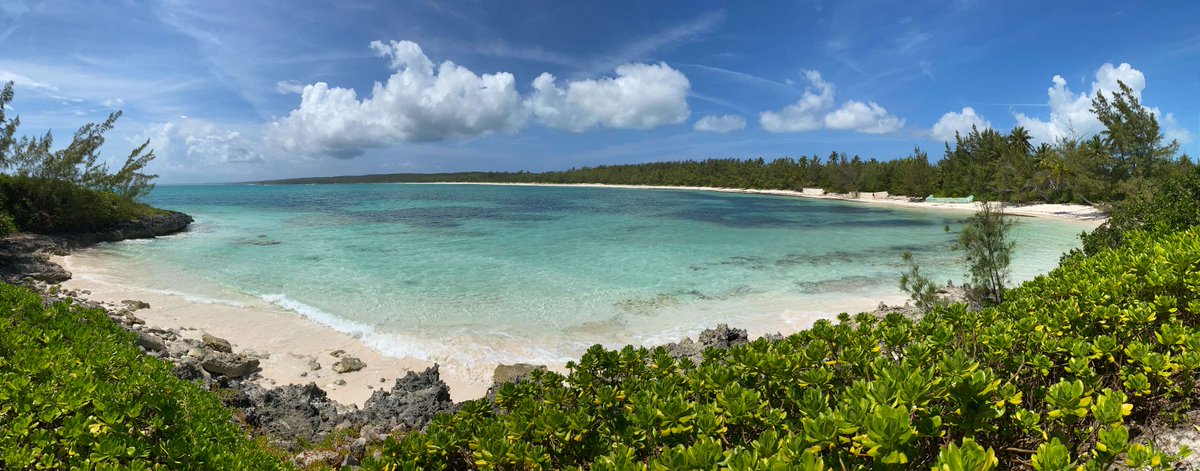 RTJ2GolfDesign's tweet image. Cotton Bay, where ground was recently broken, is set on a natural sand base and will feature a flexible routing that makes it ideal for match play as well as ‘choose your own adventure’ golf.