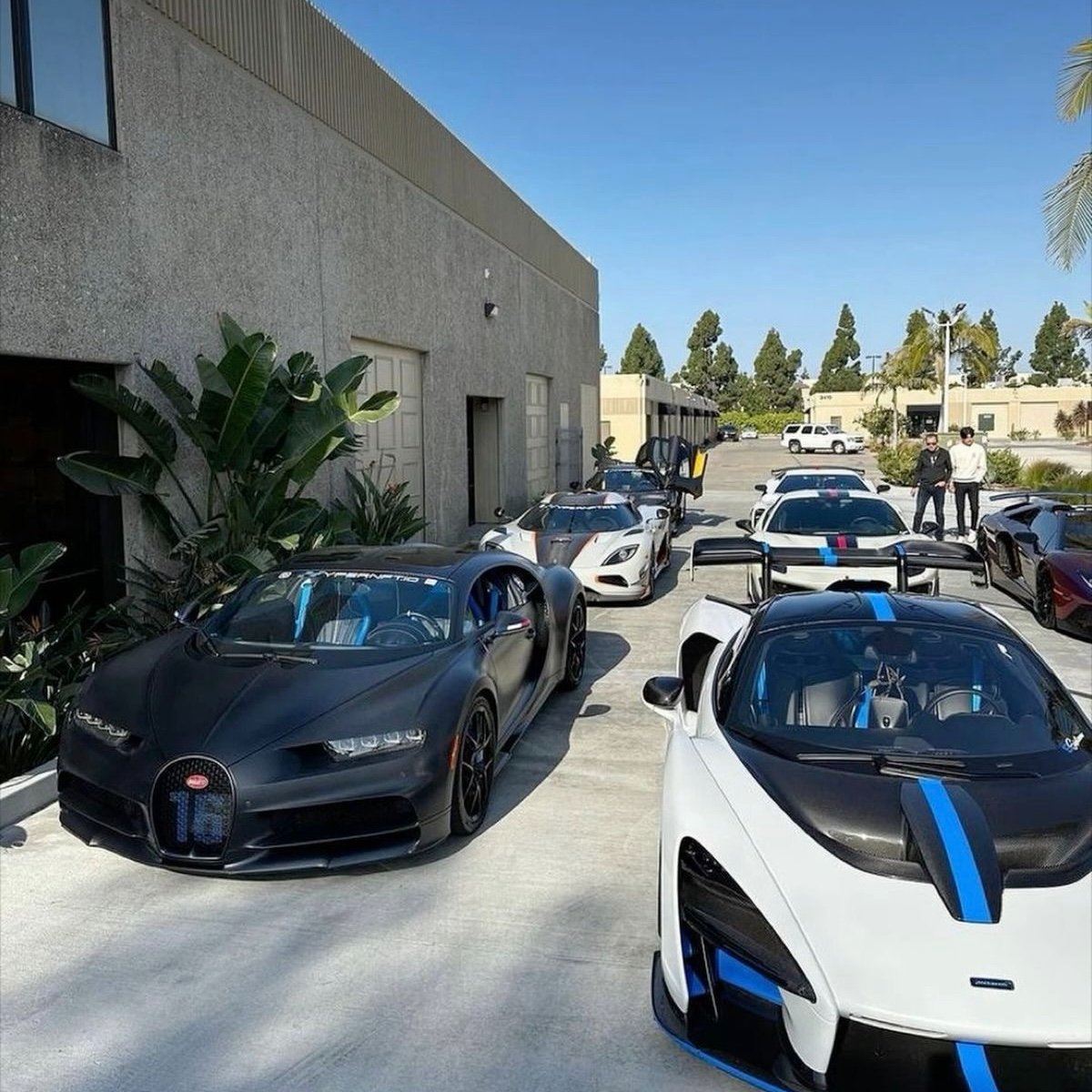 GM, If you reply I'm following you 🥷