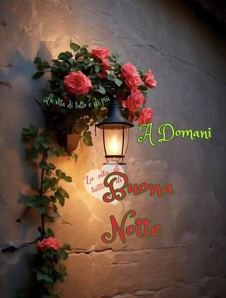 RITABIANCHi56 tweet media