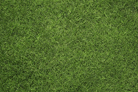 TurfPro Weekly Briefing (@turfprouk) on Twitter photo Discover sustainable practices in fertilizer supply with insights from Prof. John Moverley & market leader <a href="/GreenBestLtd/">GreenBest Ltd</a>, in our latest edition of TurfPro 👉 turfpro.co.uk/sustainable-pr…
#Sustainability #Fertilizer #GreenBest Discover sustainable practices in fertilizer supply with insights from Prof. John Moverley & market leader <a href="/GreenBestLtd/">GreenBest Ltd</a>, in our latest edition of TurfPro 👉 turfpro.co.uk/sustainable-pr…
#Sustainability #Fertilizer #GreenBest