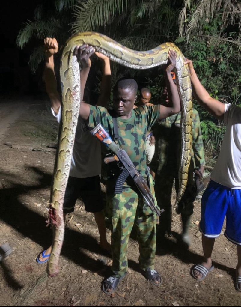 See the snake k!lled this evening  in Nysc camp where my friend is camping  👀