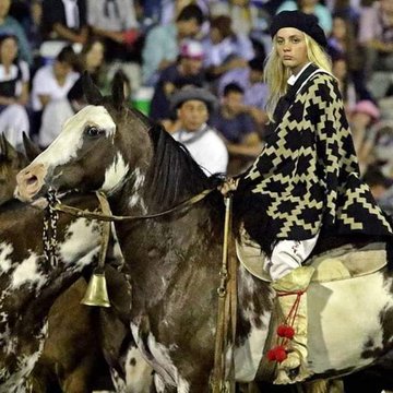 ElPatronCriollo's tweet photo. I firmly support the settlement of Anglo-Saxon and European dissidents throughout Argentina. The collapse of the Anglo-Saxon global order is inevitable, and their countries will not be able to guarantee their safety.

It is time for them to come to new, empty lands, where there is still freedom, guns and land are easily accessible, and the local European and Eurodescendant communities are willing to offer their support.